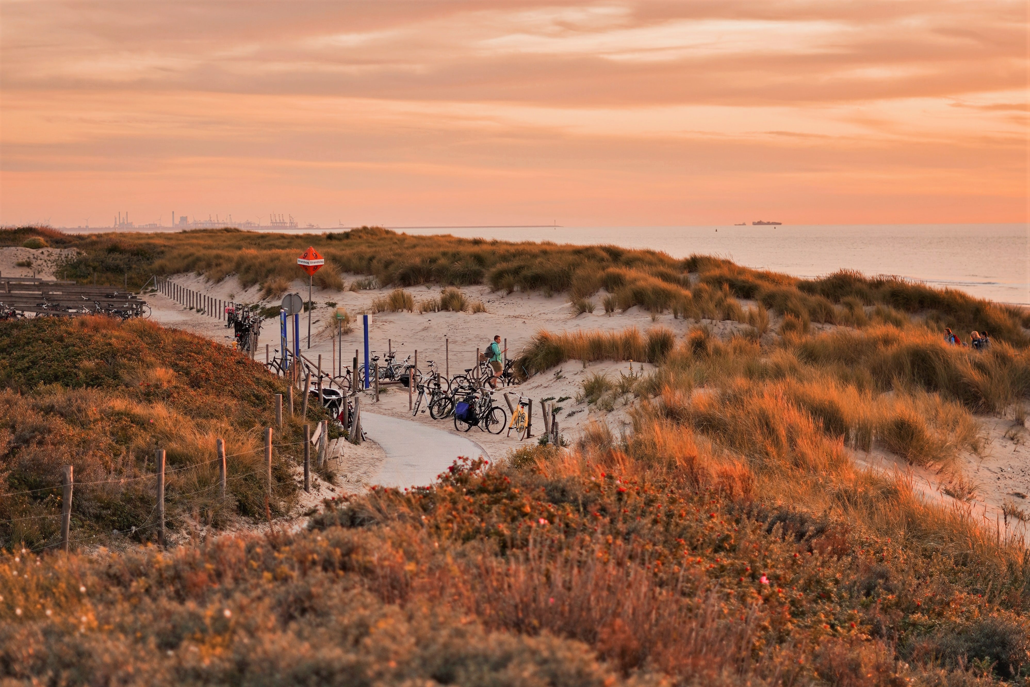 Contemporary Cove property in The Hague city centre