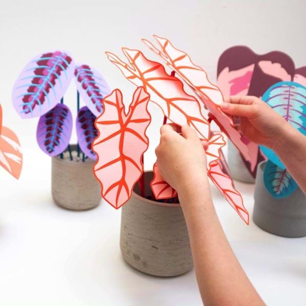 Brazen Botany x Broken Wharf.