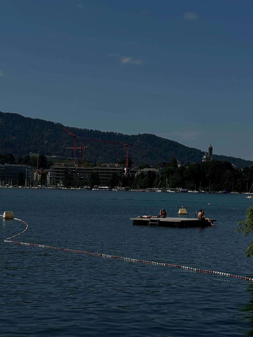 <p><span data-contrast="auto" lang="EN-US" class="TextRun SCXW241920820 BCX8" id="isPasted"><span class="NormalTextRun SCXW241920820 BCX8">&copy;<a class="Hyperlink SCXW265992226 BCX8" href="https://www.instagram.com/briankuzke/" target="_blank" rel="noreferrer noopener"><span data-contrast="none" lang="EN-US" class="TextRun Underlined SCXW265992226 BCX8"><span class="NormalTextRun SCXW265992226 BCX8" data-ccp-charstyle="Hyperlink">Brian&nbsp;</span><span class="NormalTextRun SCXW265992226 BCX8" data-ccp-charstyle="Hyperlink">Ku</span><span class="NormalTextRun SCXW265992226 BCX8" data-ccp-charstyle="Hyperlink">z</span><span class="NormalTextRun SCXW265992226 BCX8" data-ccp-charstyle="Hyperlink">ke</span></span></a><span data-contrast="auto" lang="EN-US" class="TextRun SCXW265992226 BCX8"><span class="NormalTextRun SCXW265992226 BCX8">.</span></span></span></span></p>