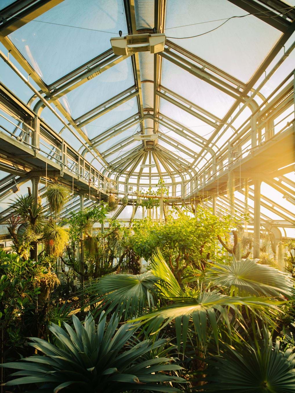 <p><a href="https://www.instagram.com/julianimkephotography/" rel="noopener noreferrer" target="_blank">&copy; Julia Nimke</a></p>