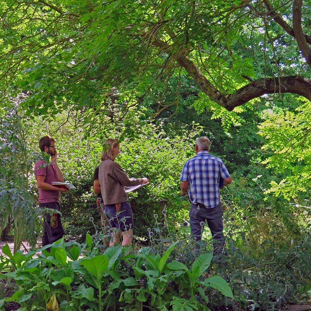 <p>Cambridge University Botanic Gardens.</p>