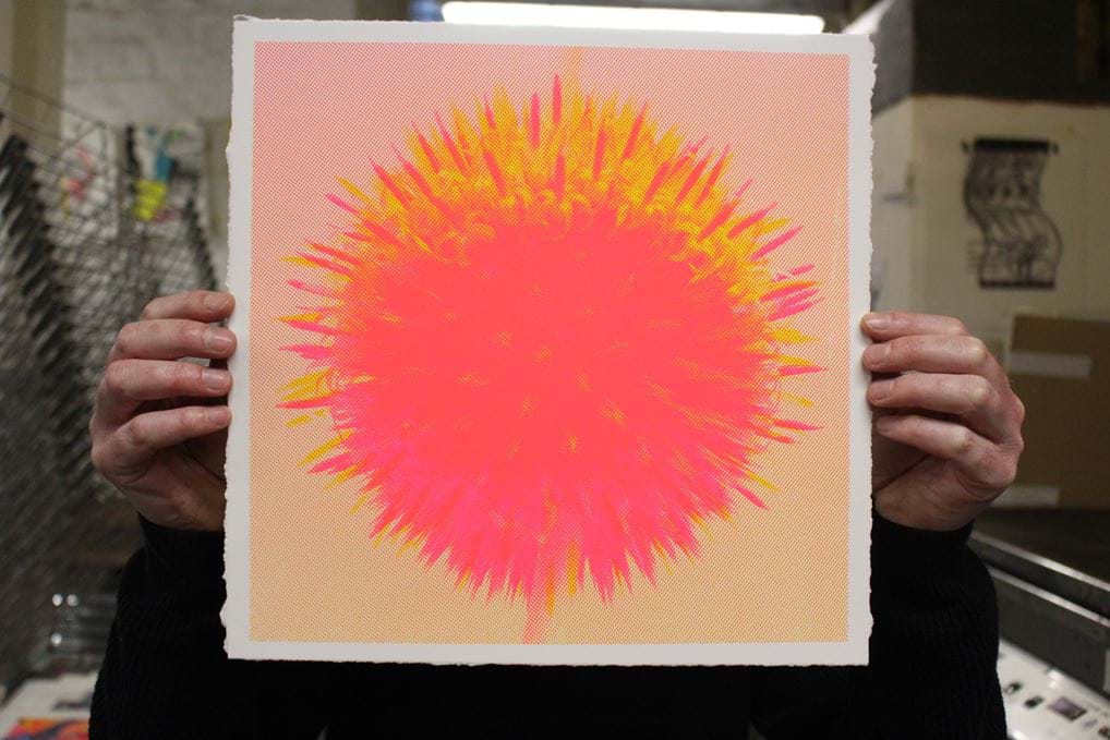 <p>'Echinio Pink'.</p>