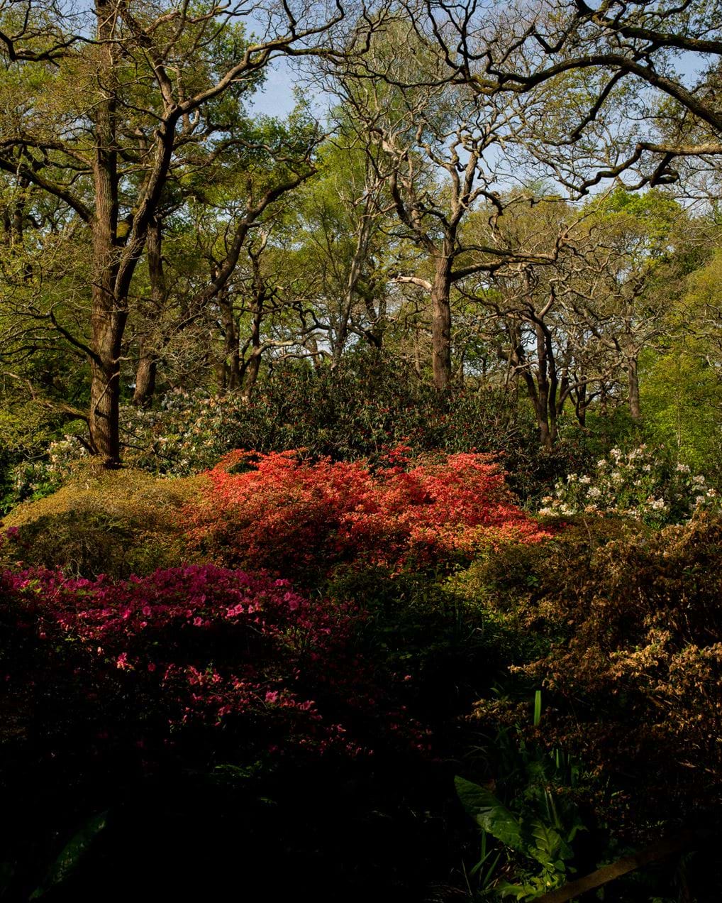 <p><span class="TextRun SCXW248835527 BCX8" data-contrast="none" id="isPasted" lang="EN-US"><span class="NormalTextRun SCXW248835527 BCX8">&nbsp;&copy;&nbsp;</span></span><a class="Hyperlink SCXW248835527 BCX8" href="https://www.instagram.com/heidijones___/" rel="noreferrer noopener" target="_blank"><span class="TextRun Underlined SCXW248835527 BCX8" data-contrast="none" lang="EN-US"><span class="NormalTextRun SCXW248835527 BCX8" data-ccp-charstyle="Hyperlink">Heidi Jones</span></span></a></p>