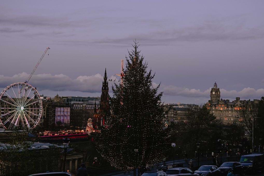 <p><a href="https://www.instagram.com/tanyarya_/" target="_blank" rel="noopener noreferrer">&copy; Tanya Arya</a></p>