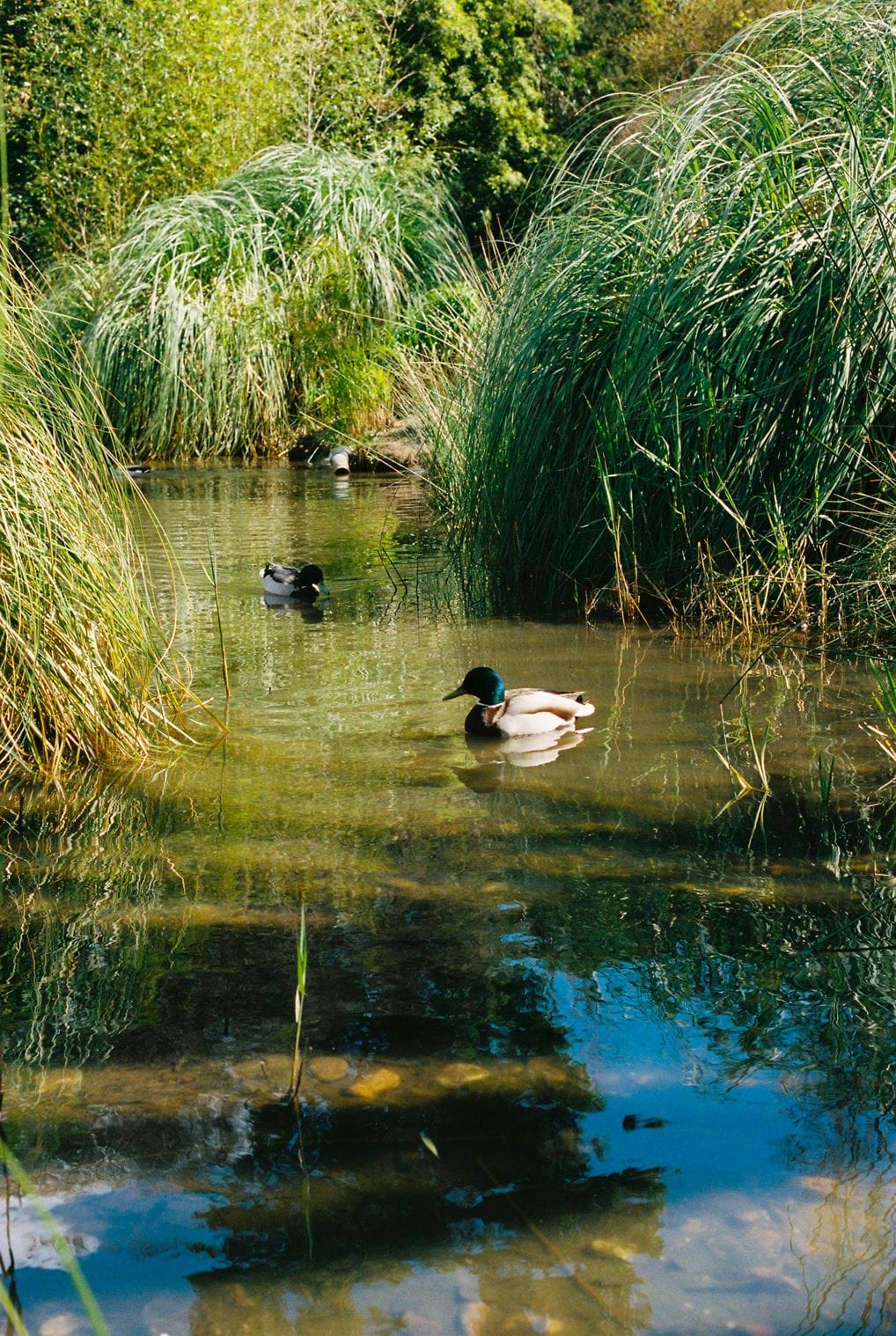 <p id="isPasted">Funda&ccedil;&atilde;o Calouste Gulbenkian.&nbsp;&copy; <a href="https://www.instagram.com/luisaismynamefilm/" id="isPasted">Lu&iacute;sa Bravo</a></p>