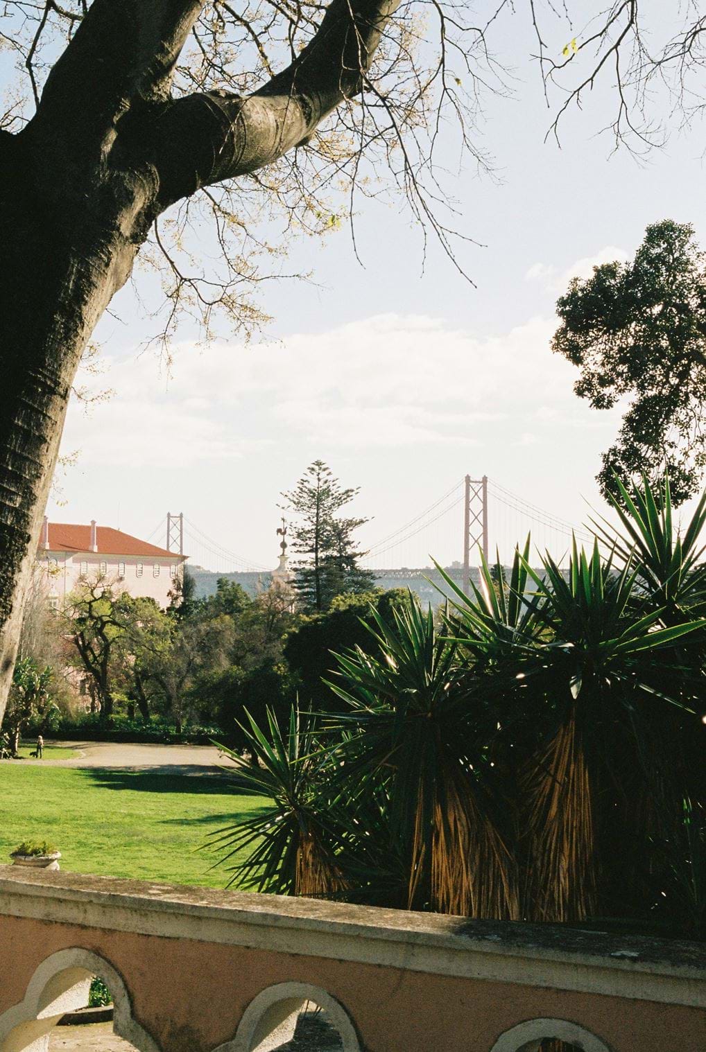 <p>Jardim Tapada das Necessidades. &copy; <a href="https://www.instagram.com/luisaismynamefilm/" id="isPasted">Lu&iacute;sa Bravo</a></p>