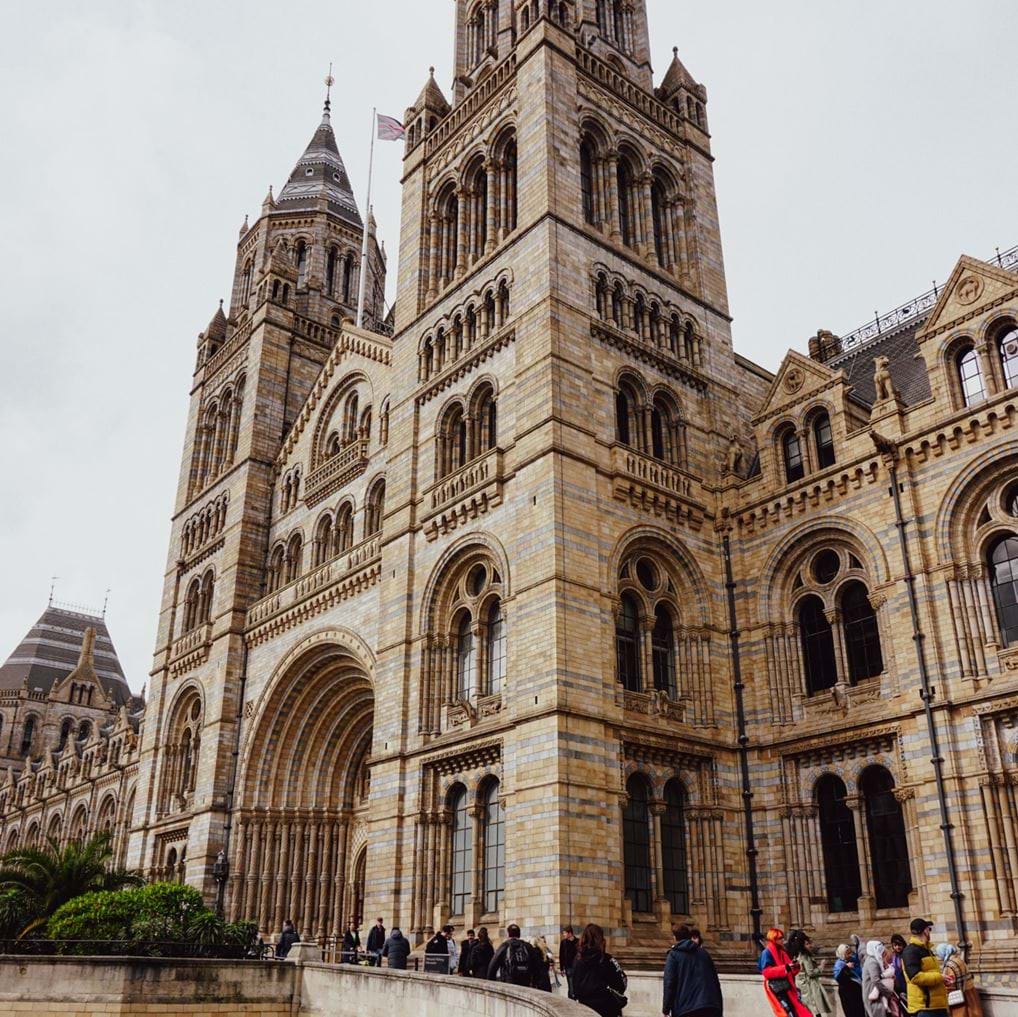 <p><a href="https://www.instagram.com/natural_history_museum/" rel="noopener noreferrer" target="_blank">Natural History Museum</a> - Kensington</p>