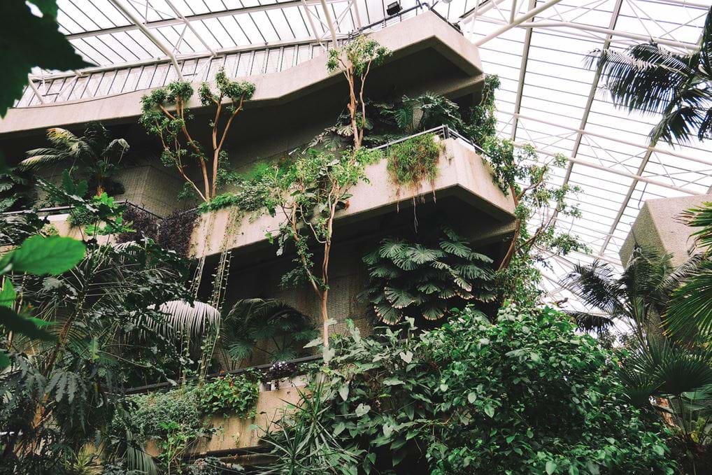 The Barbican Conservatory