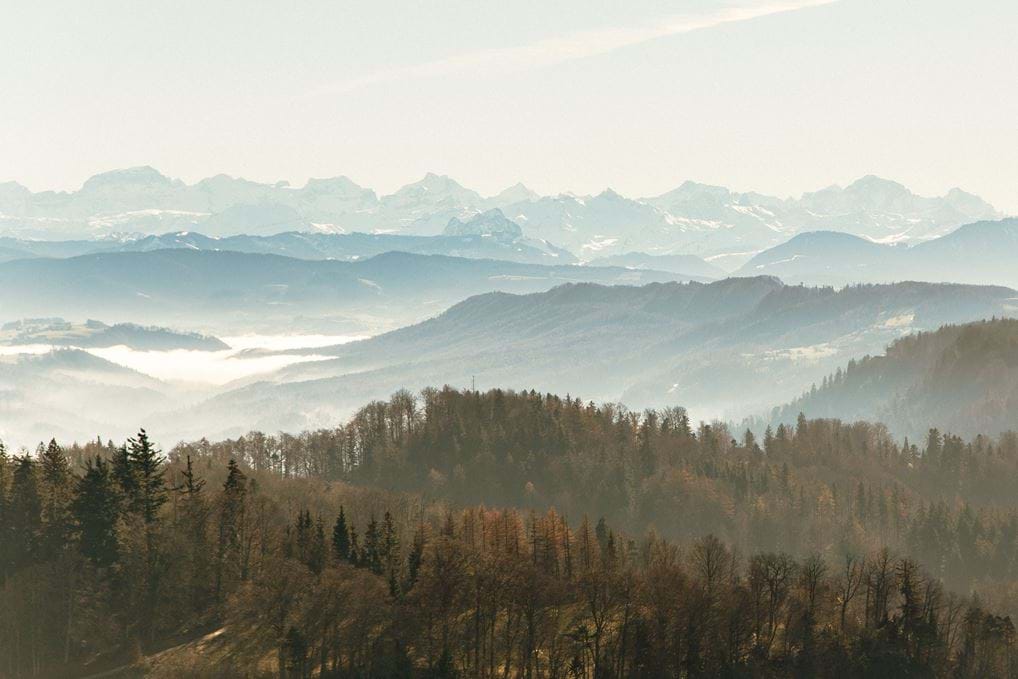 <p>C<span data-contrast="none" lang="EN-US" class="TextRun Underlined UnderlinedGateOff SCXW176980866 BCX8"><span class="NormalTextRun SCXW176980866 BCX8" data-ccp-charstyle="Hyperlink">redit:&nbsp;</span></span><span data-contrast="none" lang="EN-US" class="TextRun Underlined UnderlinedGateOff SCXW176980866 BCX8"><span class="NormalTextRun SCXW176980866 BCX8" data-ccp-charstyle="Hyperlink"><a href="https://www.instagram.com/frihead/" target="_blank" rel="noopener noreferrer">Mathilde&nbsp;</a></span><span class="NormalTextRun SCXW176980866 BCX8" data-ccp-charstyle="Hyperlink"><a href="https://www.instagram.com/frihead/" target="_blank" rel="noopener noreferrer">Rietsch</a></span></span></p>