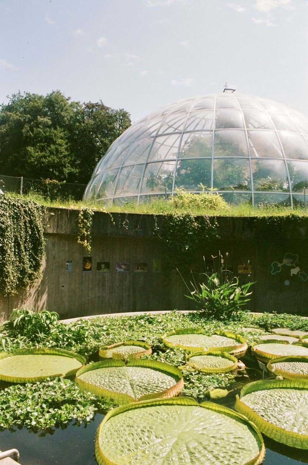 <p>Botanical Garden.</p>