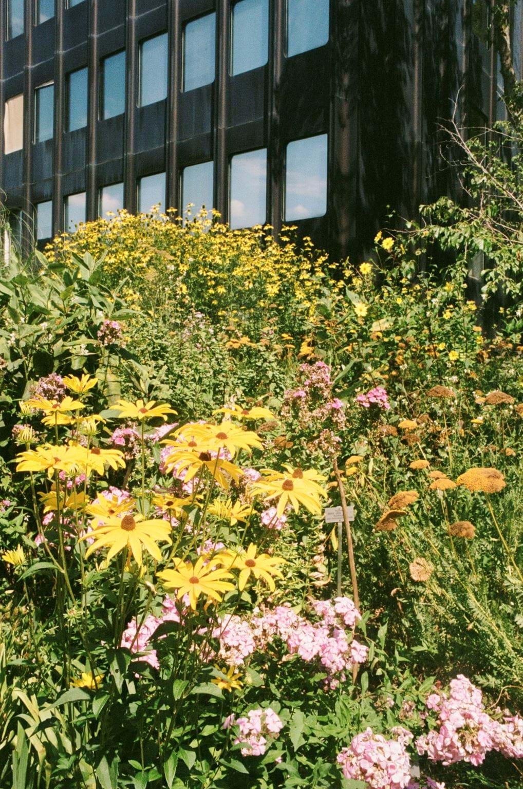 <p>Botanical Garden.</p>