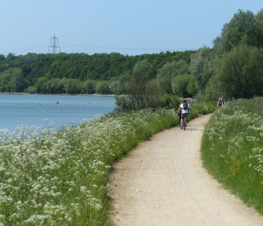 <p>Grafham Water</p>