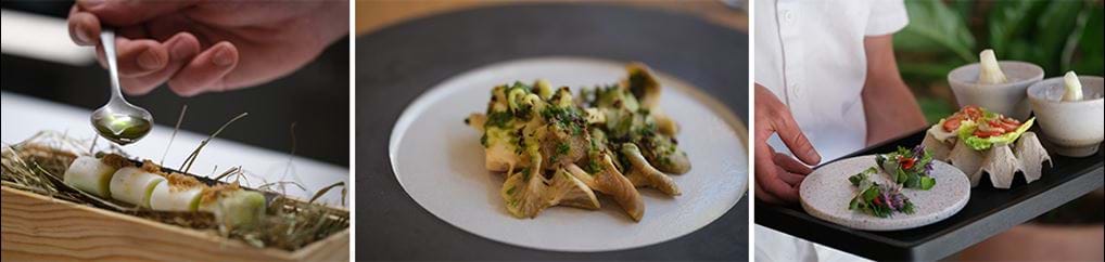 <p>© Lenka Li Lilling</p>