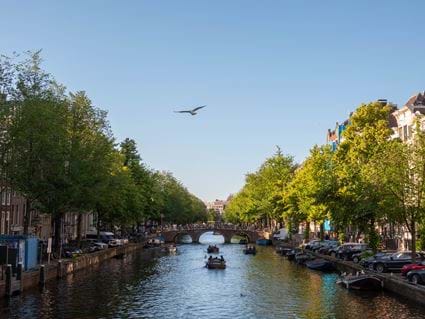 Carefully Designed, Uncluttered Serviced Apartments in Amsterdam | Cove
