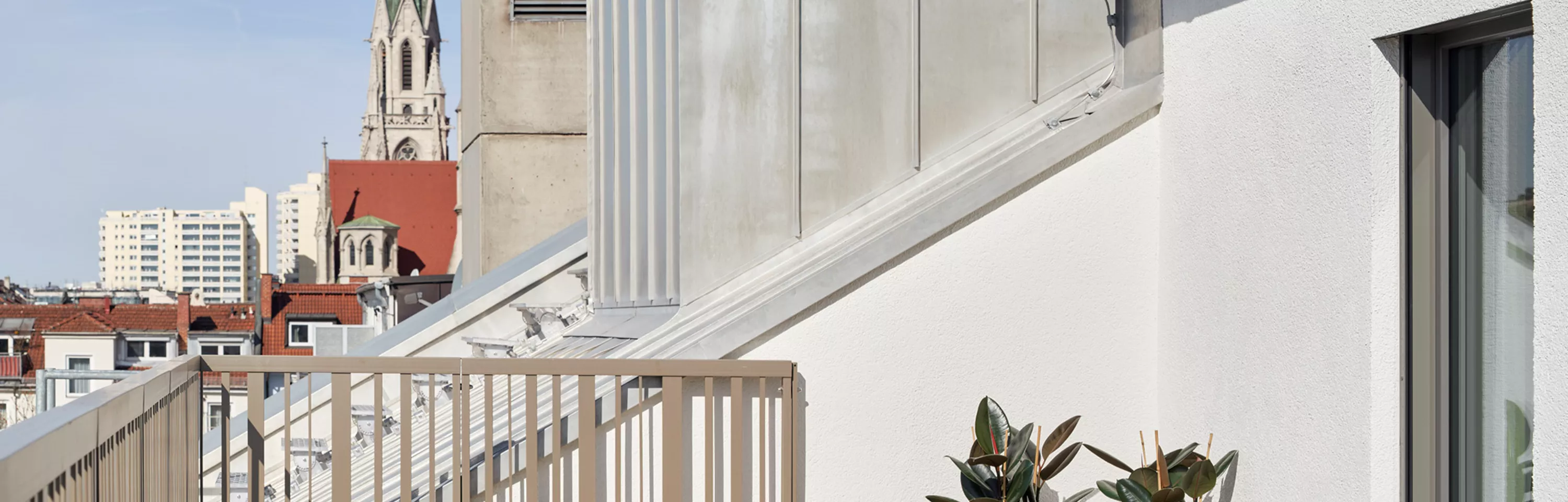 Schwan Locke | Living