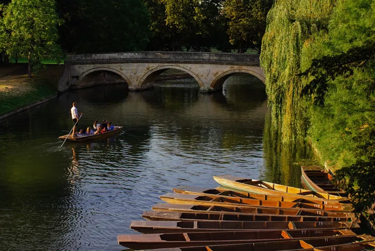 Obtenez le guide local.