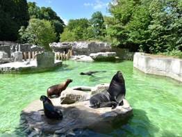 Explore: Hellabrunn Zoo | Munich | Design-led Aparthotels, Locke