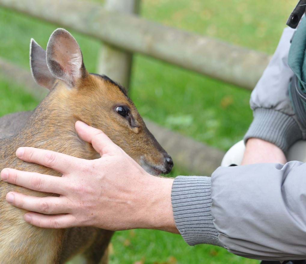 <p>Shepreth Wildlife Park</p>